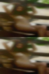 Columbus, adult swingers