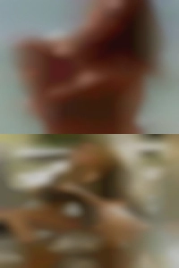Just normal wrestling personals for sex I think!