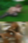 Where casual encounters